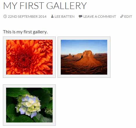 Display of the Gallery plugin's basic gallery layout