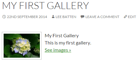 Display of the short form version of the Gallery plugin that links to a gallery page