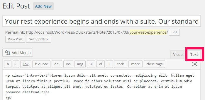 running the wordpress post editor in text mode